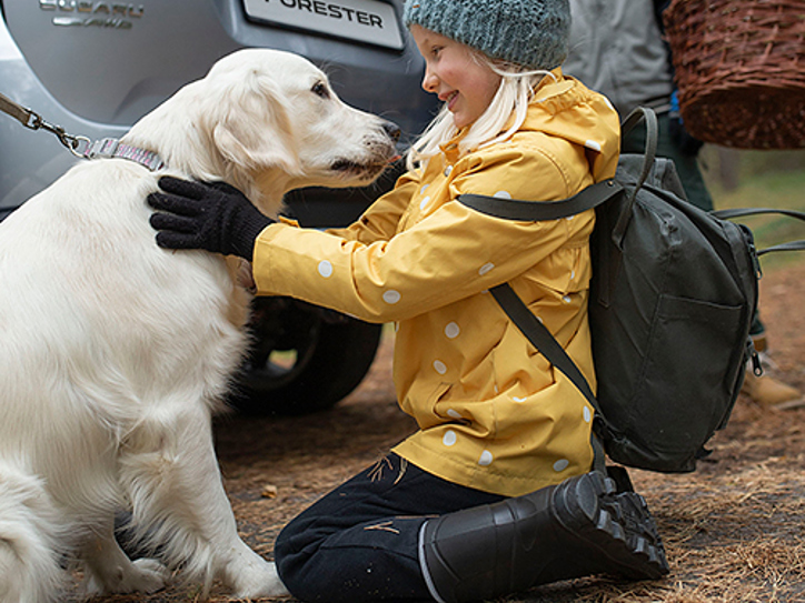 Bakom en Subaru Forester i regnigt väder sitter en flicka i gul regnjacka på knä och gosar med sin golden retriever.